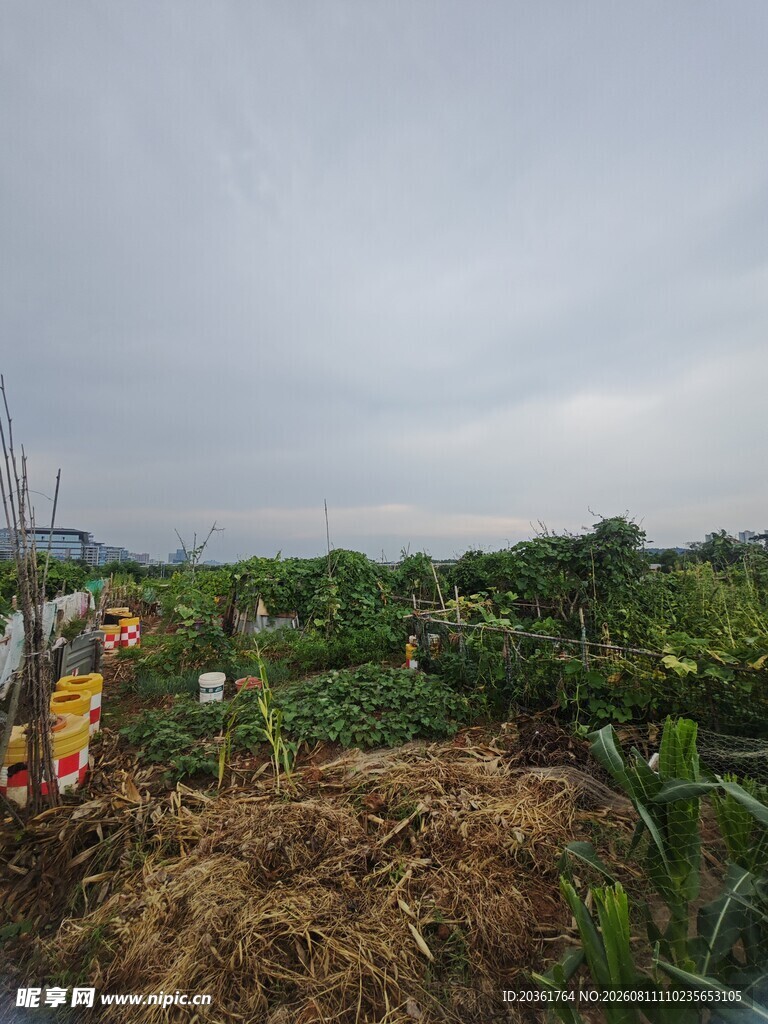 田园劳作场景