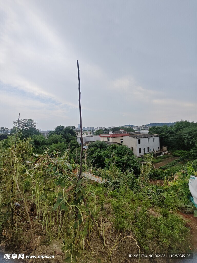 乡村田园景致