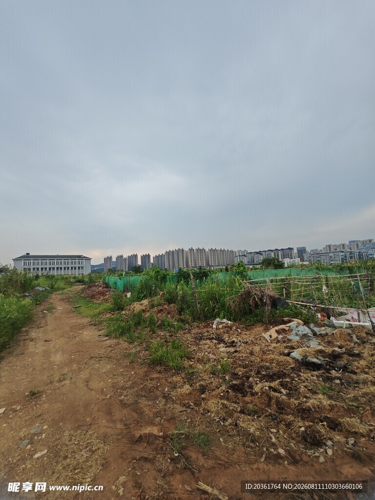 乡村土路旁的荒地景象