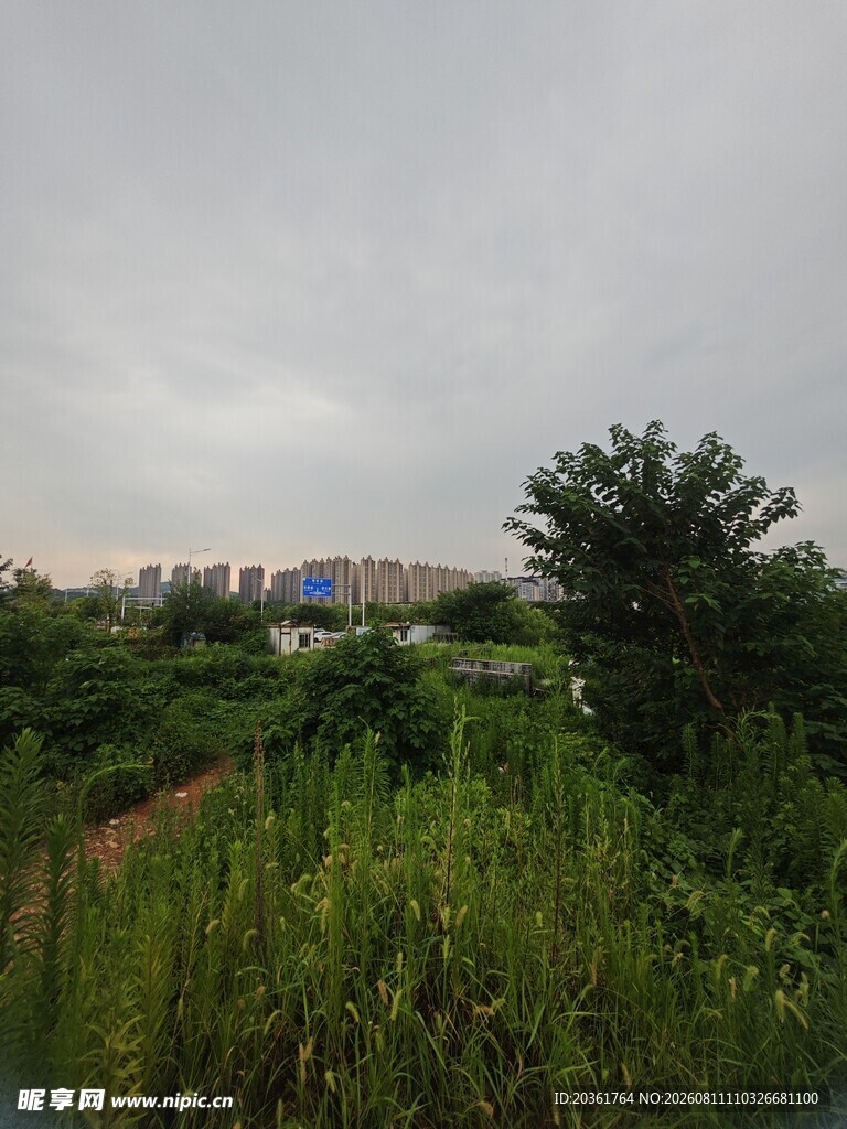 郊外绿意盎然的自然景致