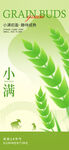 小满海报