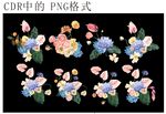 PNG格式花卉图案