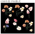 手绘多彩花卉图案素材
