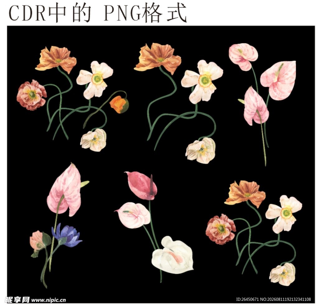手绘多彩花卉图案素材