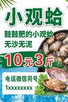 小观蛤促销