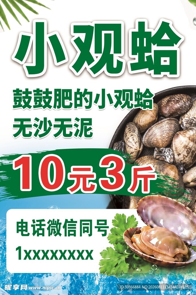 小观蛤促销