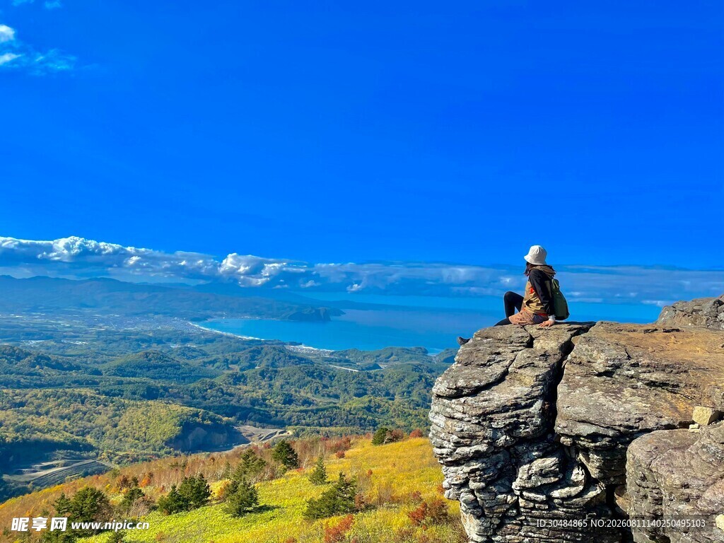 雄鹰立于山巅俯瞰美景