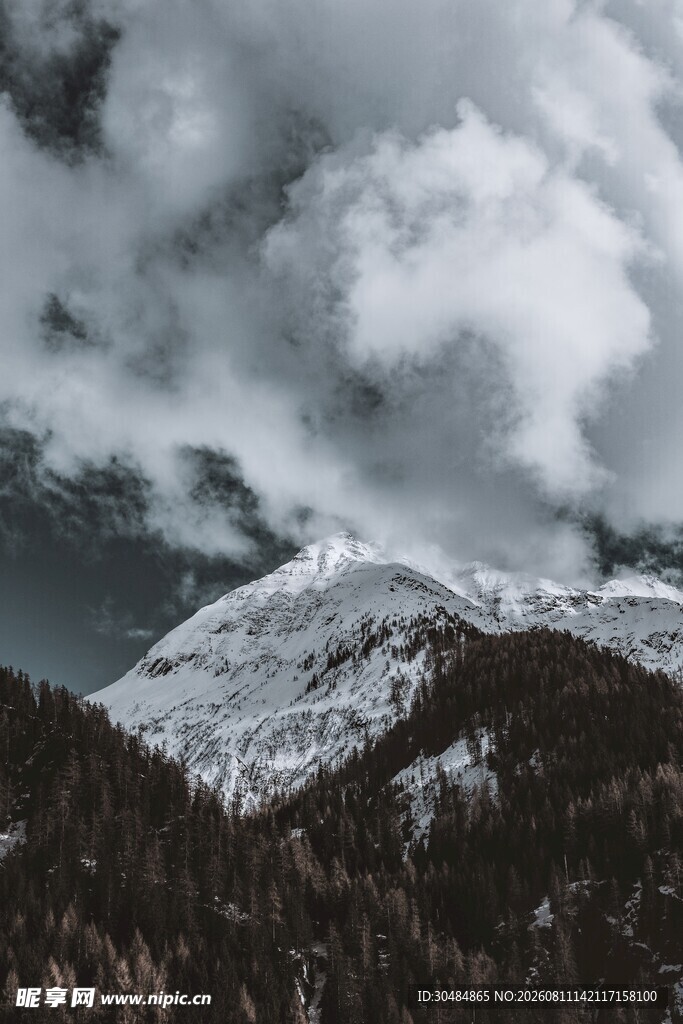 雪山云海下的山林景观