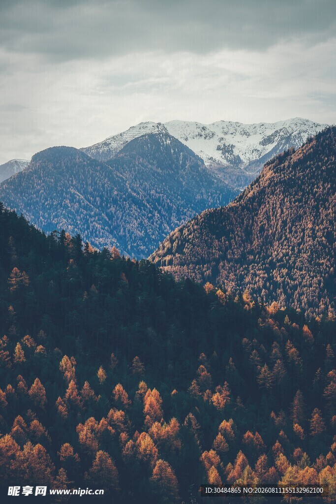 秋日山林间的壮丽山脉景色