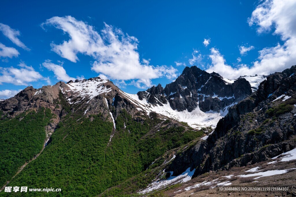 壮丽雪山与葱郁山林景观