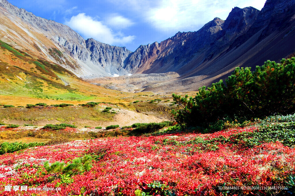 山间绚烂花海与壮丽山峦