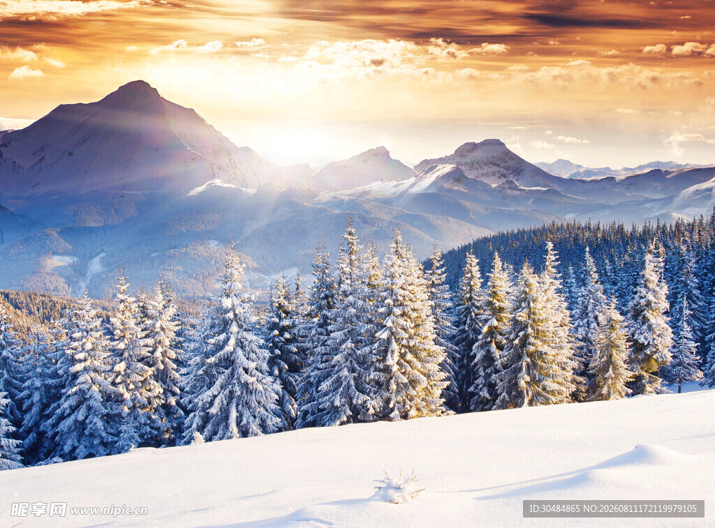 冬日雪山松林壮丽美景