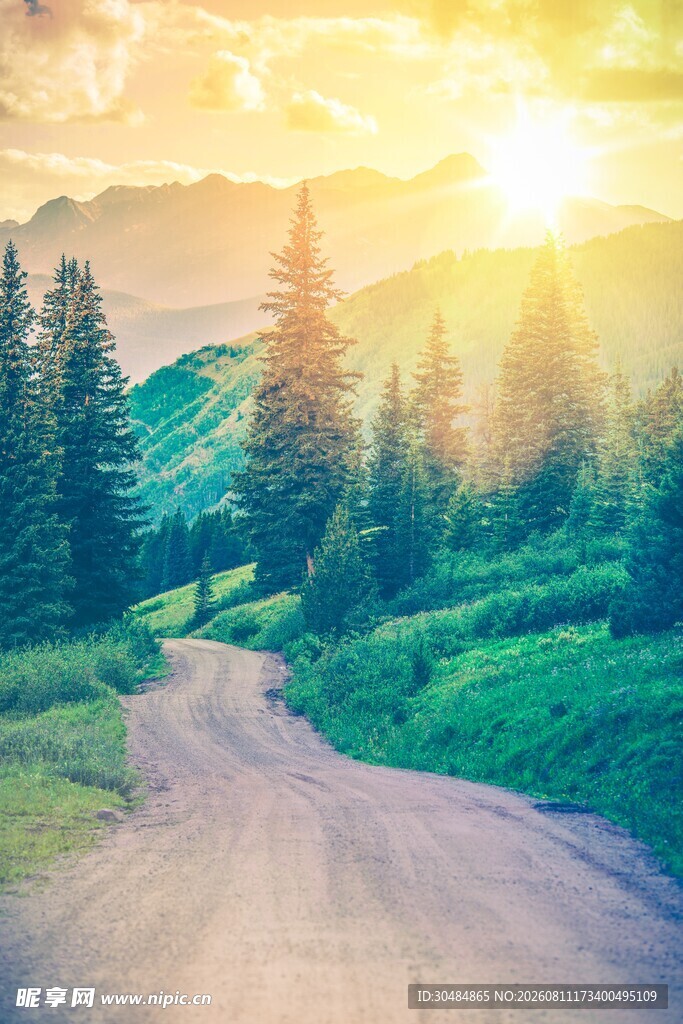 山间阳光小路