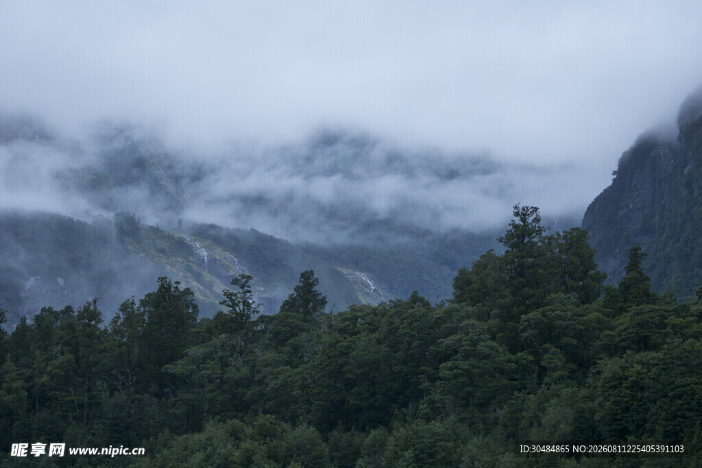 云雾缭绕的山林美景