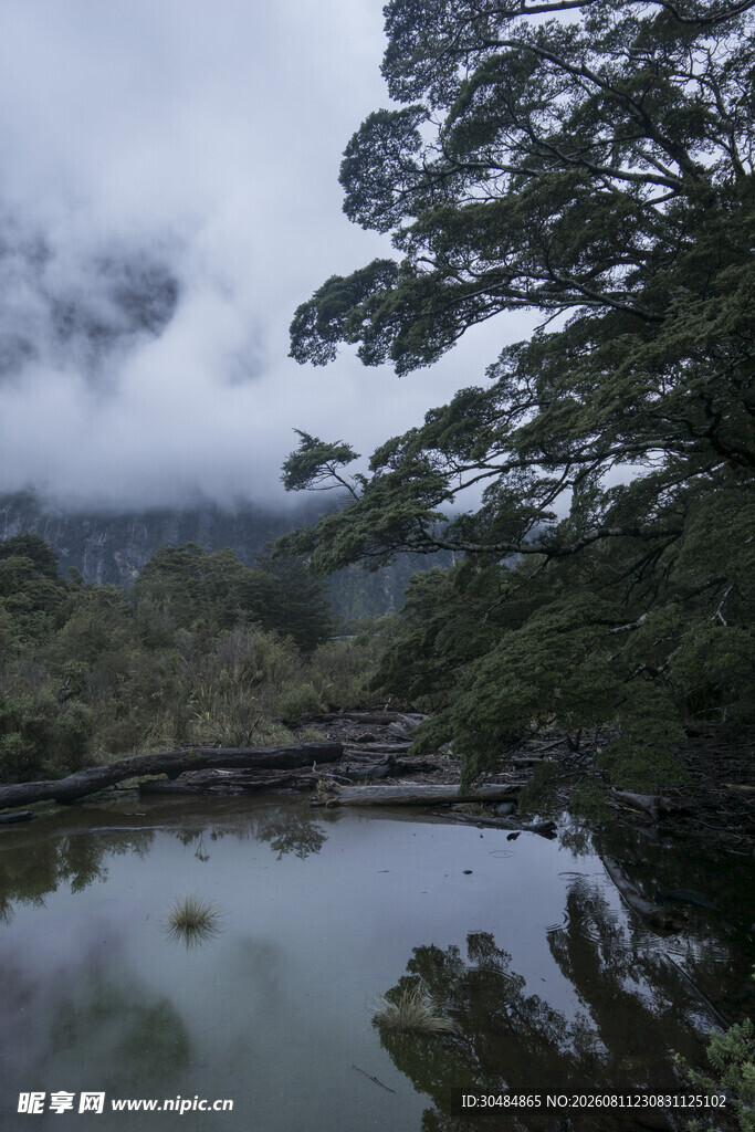 云雾缭绕的静谧山林湖泊
