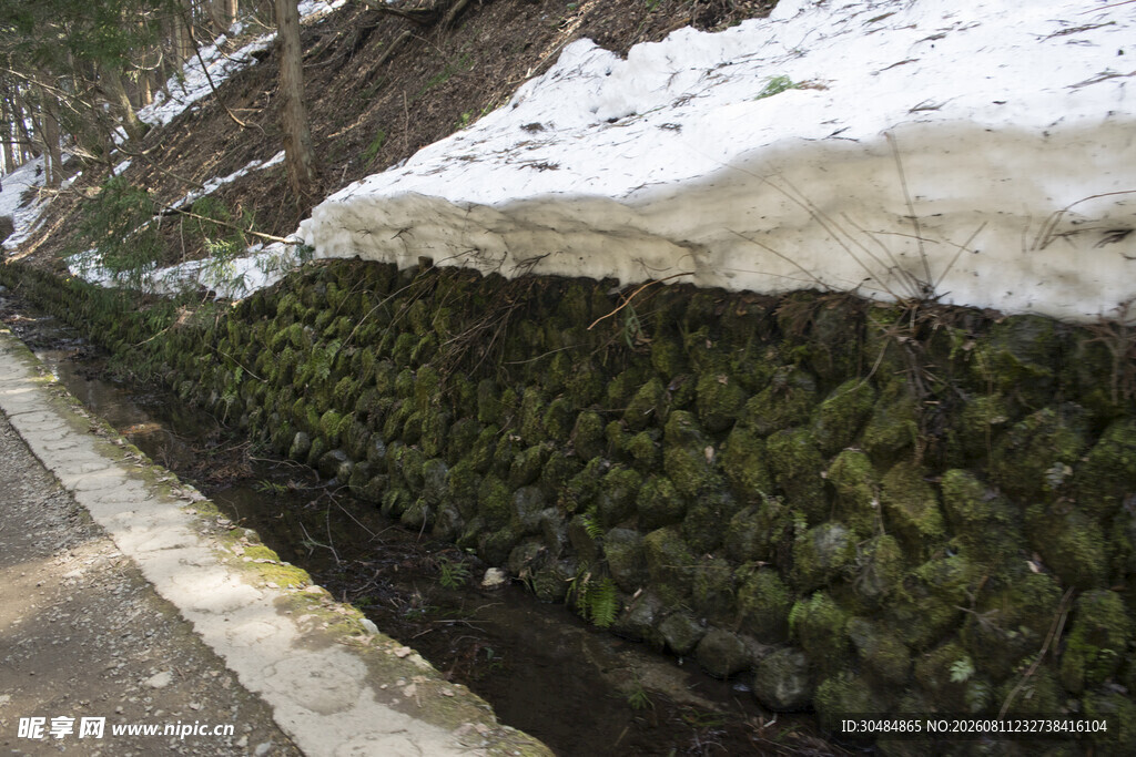 雪覆绿植景观
