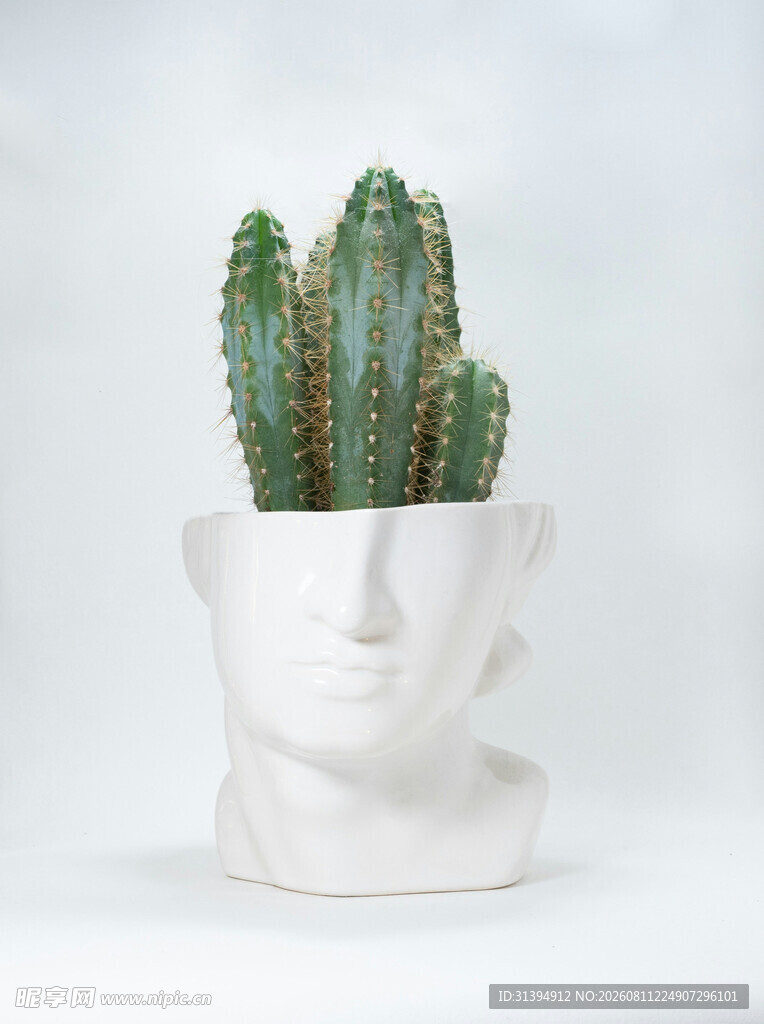 人头花盆中的仙人掌