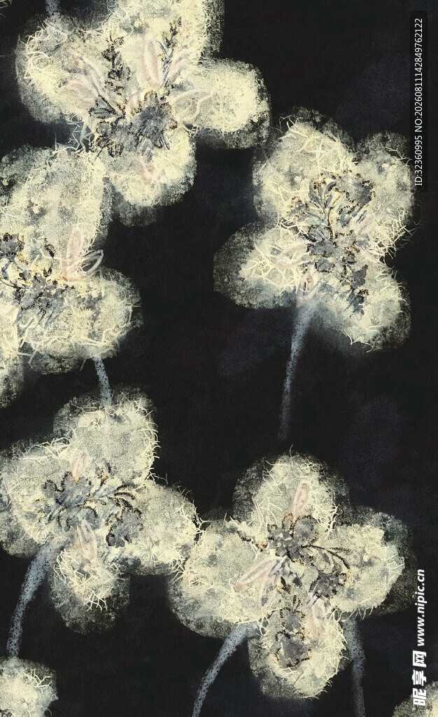 白色蒲公英特写画面
