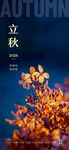 24节气海报立秋