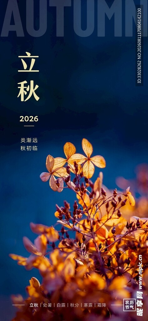 24节气海报立秋