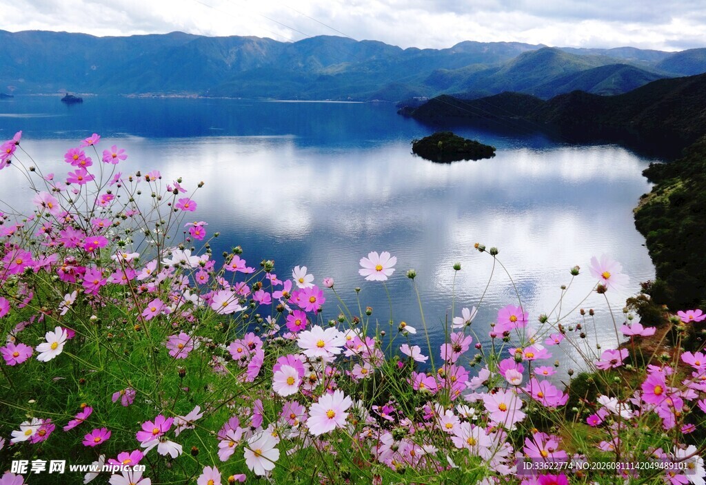 湖畔繁花映碧水美景