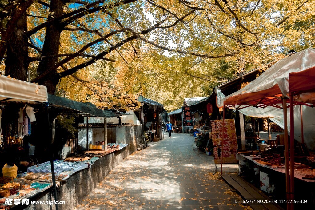 秋日集市的热闹街景