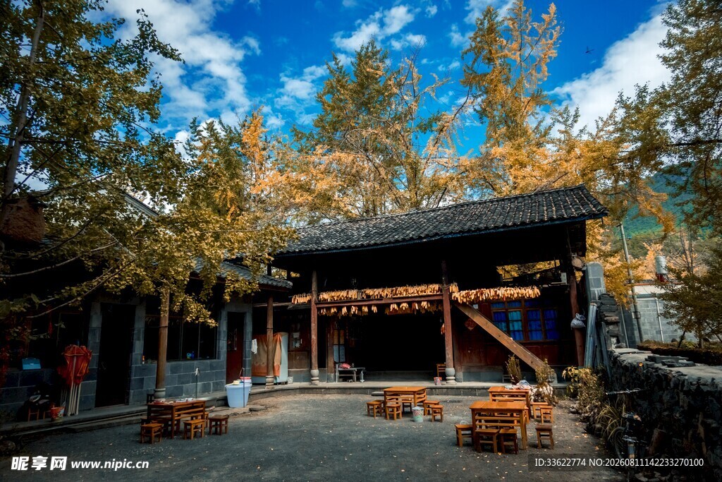 古雅庭院秋景