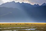 草原山川壮丽风光图