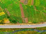 俯瞰公路旁多彩田园风光