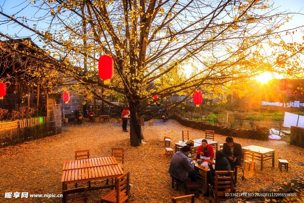 夕阳下的庭院休闲场景