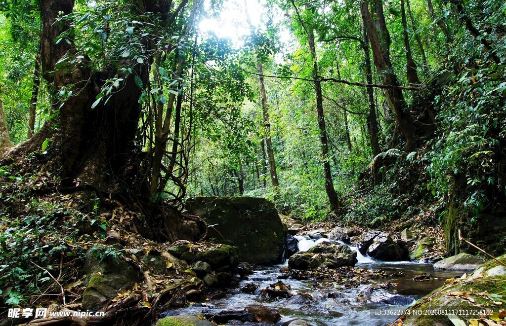 山林间潺潺溪流美景