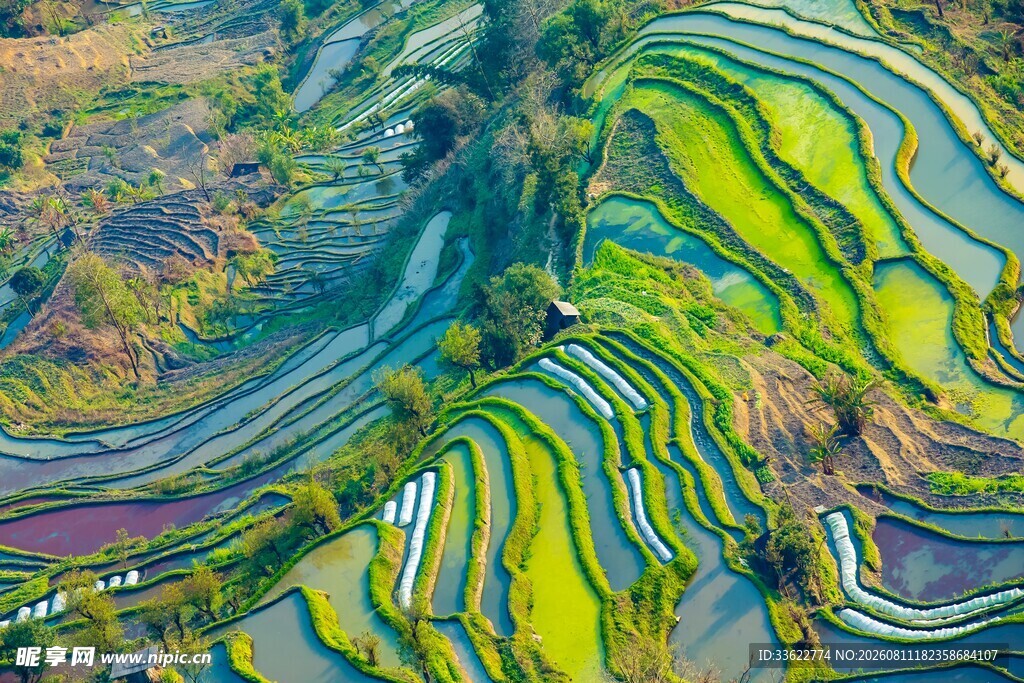 多彩梯田风光