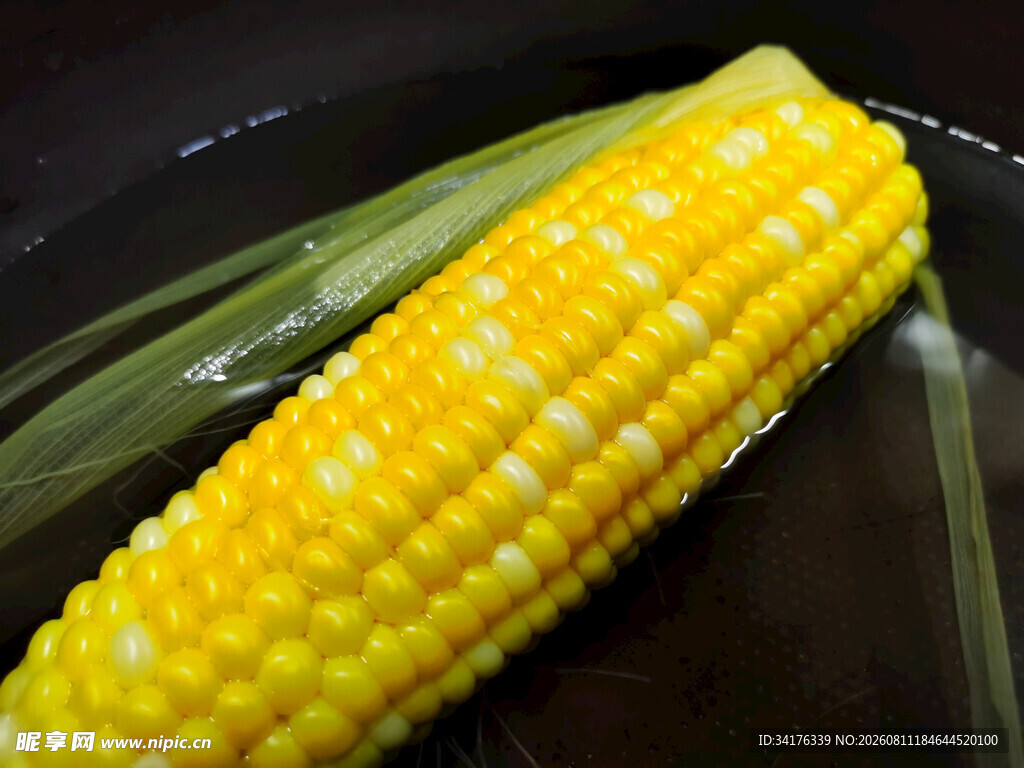 玉米