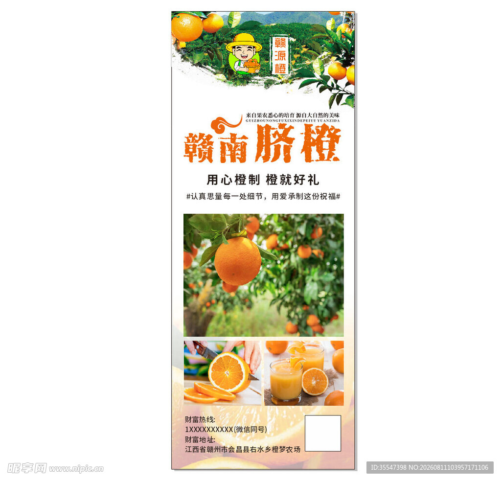 赣南脐橙展架海报
