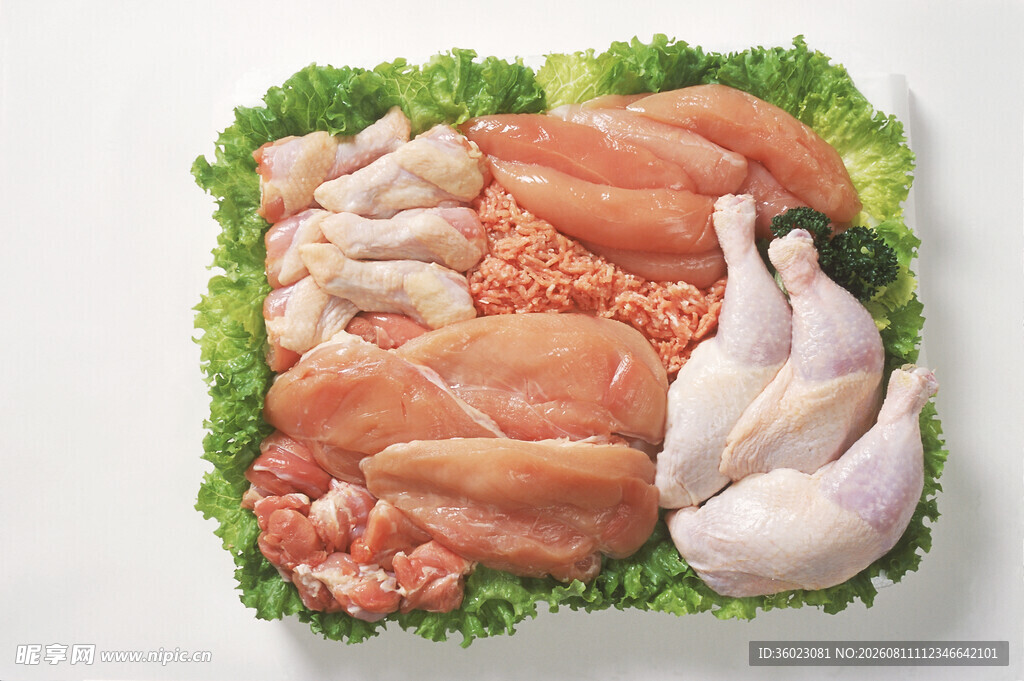 多样鸡肉食材组合