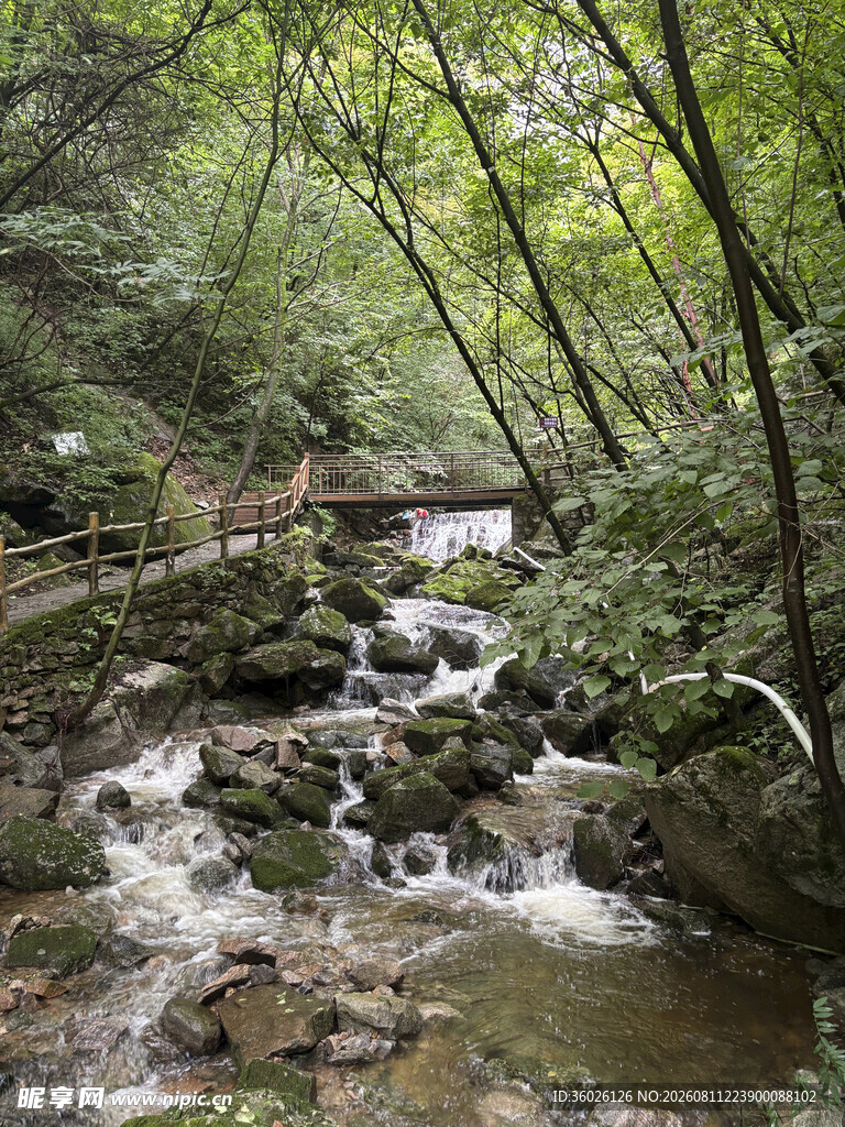 涧水木桥
