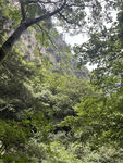 林深见山