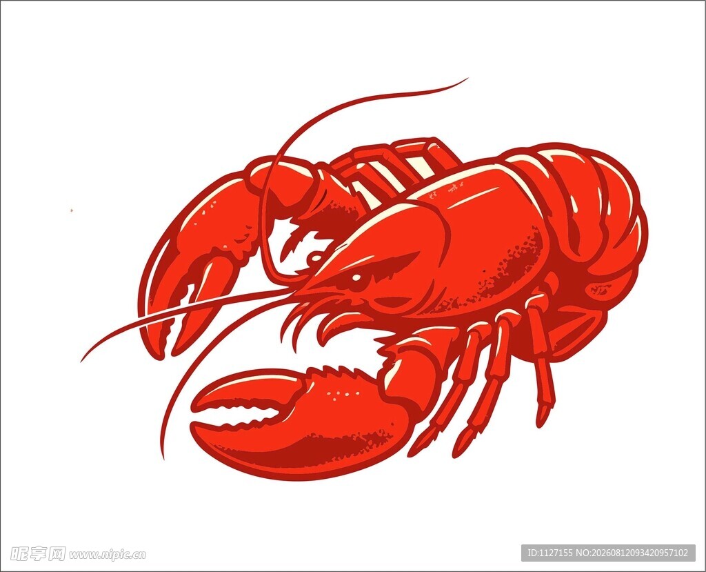 红色大龙虾插画