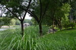 公园风景 