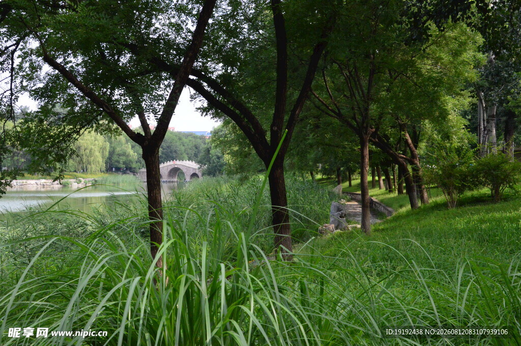 公园风景 