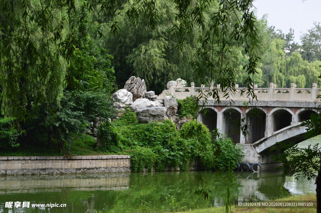 公园风景  
