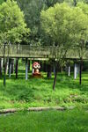 公园风景