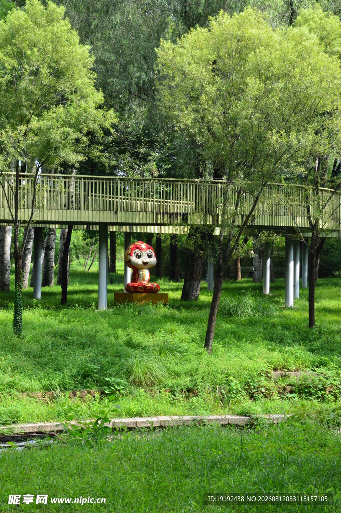 公园风景