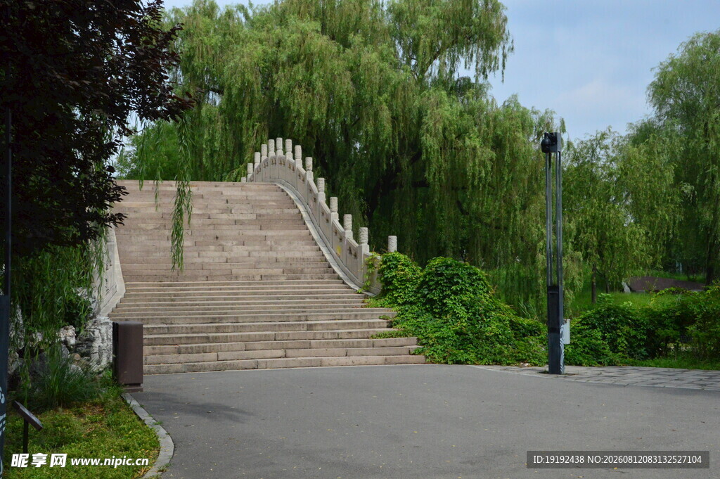 公园风景  