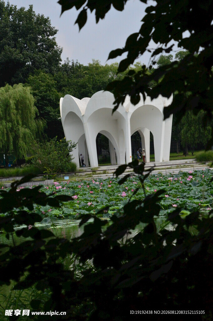 公园风景