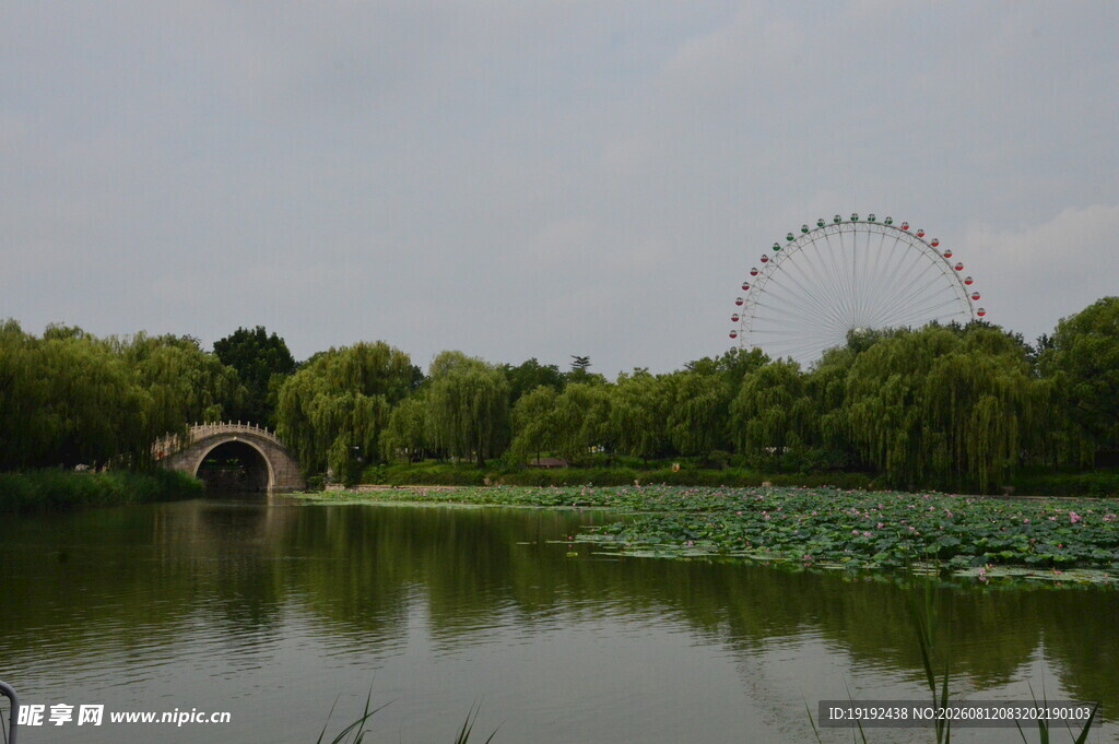 公园风景 