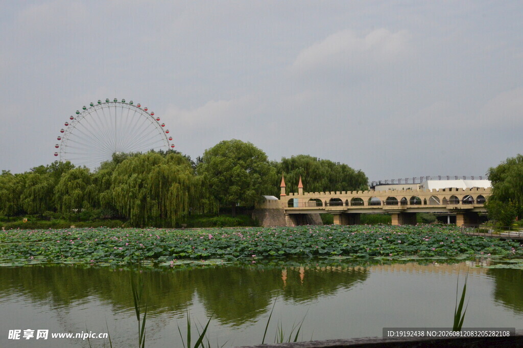 公园风景 