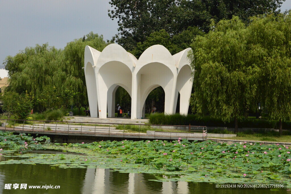 公园风景 