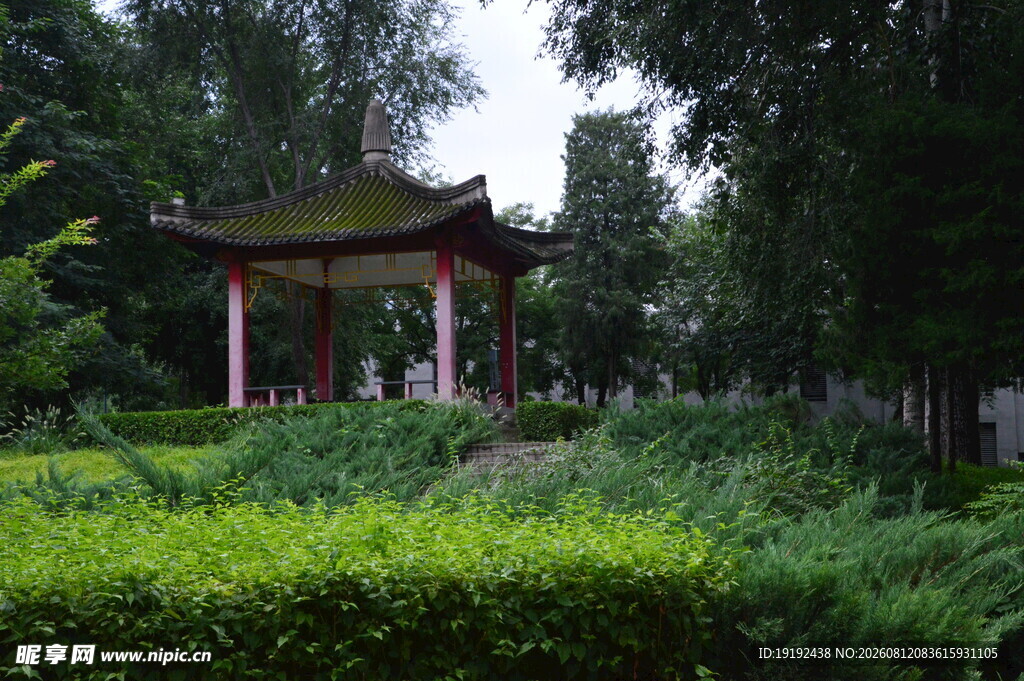 公园风景  