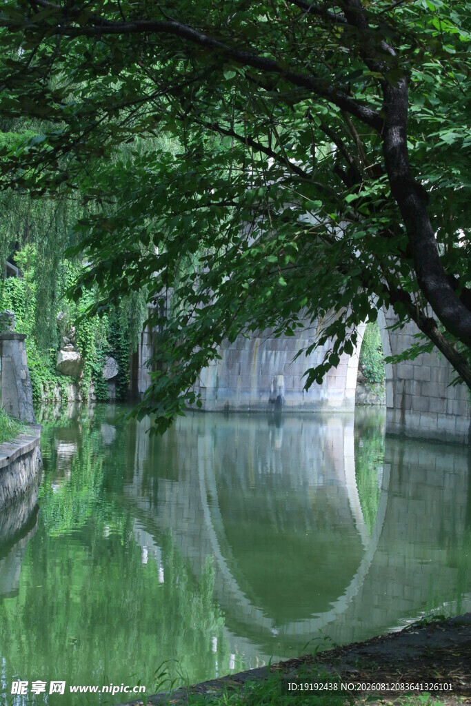公园风景 